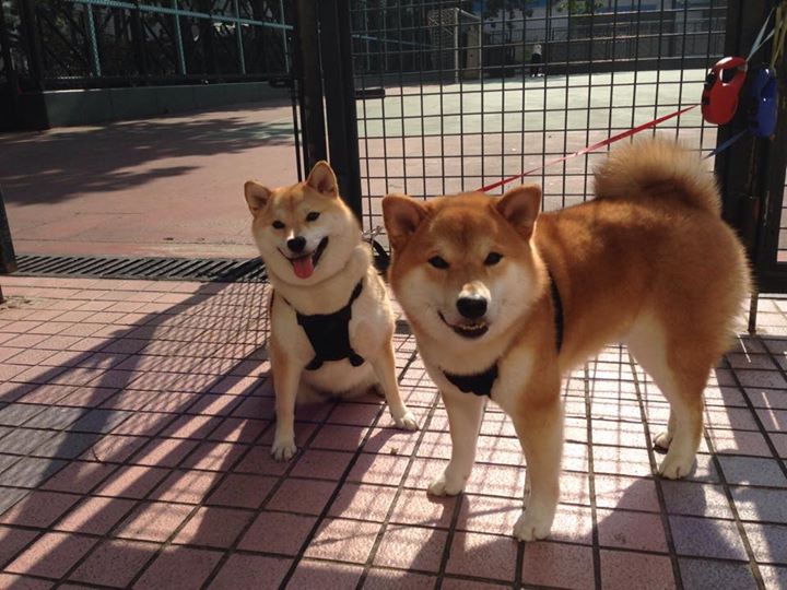 CS2 FaZe斩获冠军 决赛舞台气氛燃爆,csgodust2比赛视频